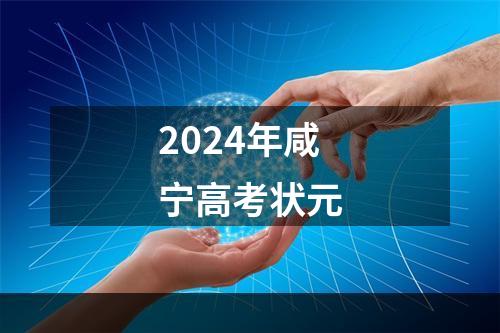 2024年咸宁高考状元