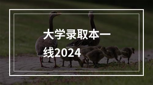 大学录取本一线2024