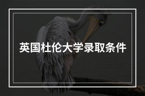 英国杜伦大学录取条件