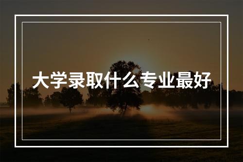 大学录取什么专业最好