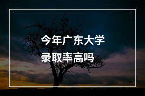 今年广东大学录取率高吗