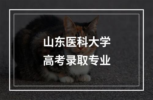 山东医科大学高考录取专业