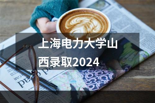 上海电力大学山西录取2024