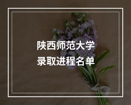 陕西师范大学录取进程名单