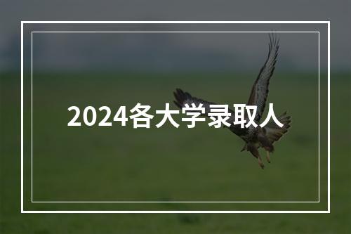 2024各大学录取人