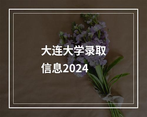 大连大学录取信息2024