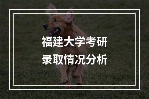 福建大学考研录取情况分析