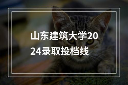 山东建筑大学2024录取投档线