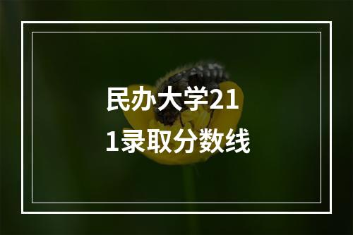 民办大学211录取分数线