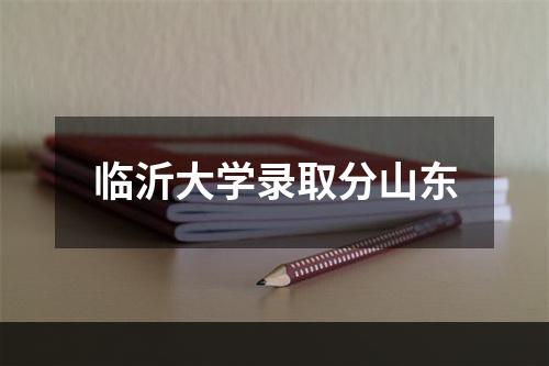 临沂大学录取分山东