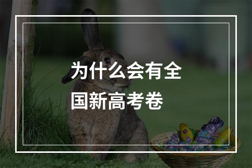 为什么会有全国新高考卷