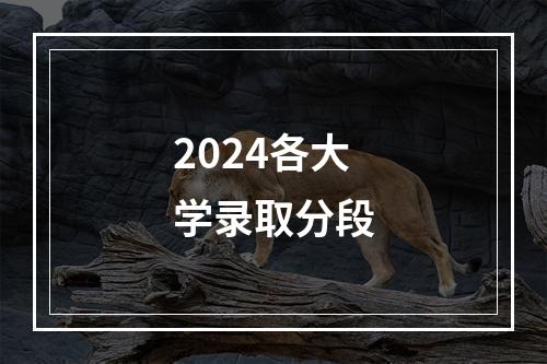 2024各大学录取分段