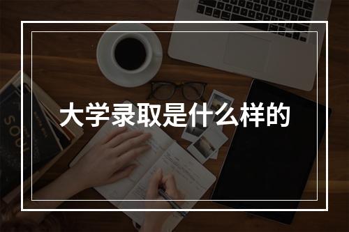 大学录取是什么样的