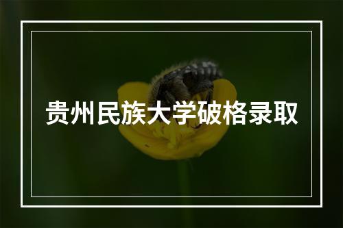 贵州民族大学破格录取