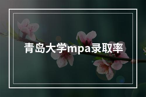 青岛大学mpa录取率