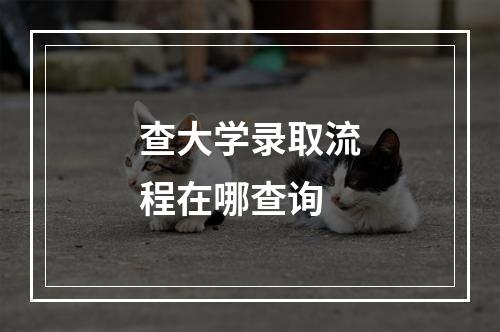 查大学录取流程在哪查询