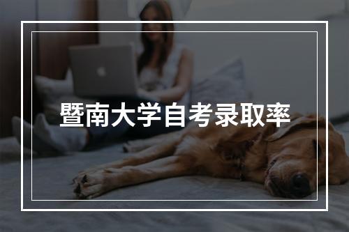 暨南大学自考录取率