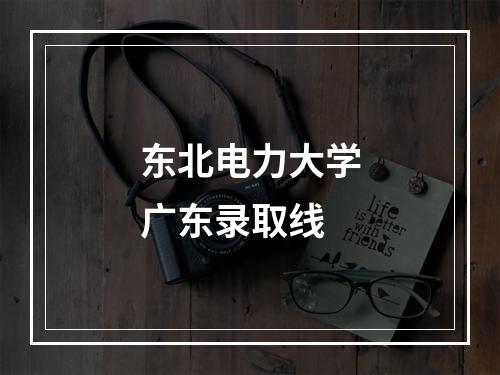 东北电力大学广东录取线