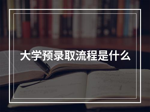 大学预录取流程是什么