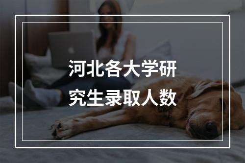 河北各大学研究生录取人数