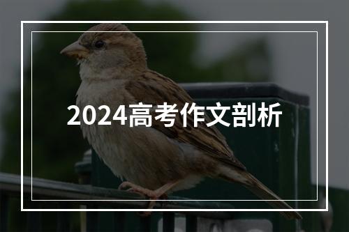 2024高考作文剖析