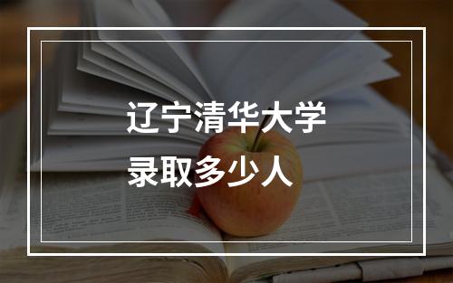 辽宁清华大学录取多少人