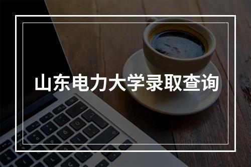 山东电力大学录取查询