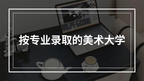 按专业录取的美术大学