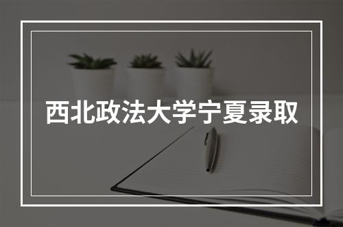 西北政法大学宁夏录取