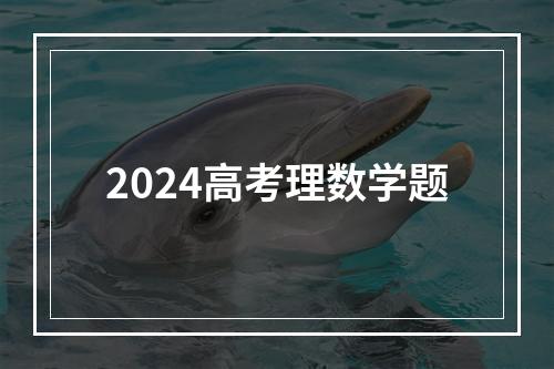 2024高考理数学题