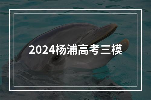 2024杨浦高考三模