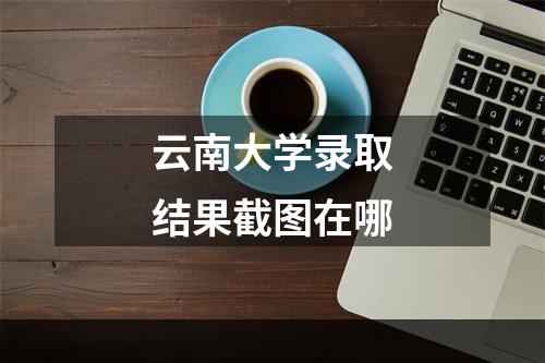 云南大学录取结果截图在哪