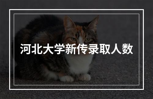 河北大学新传录取人数