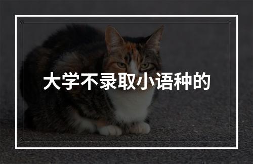 大学不录取小语种的