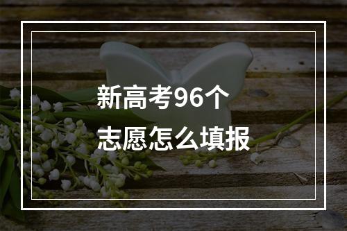 新高考96个志愿怎么填报