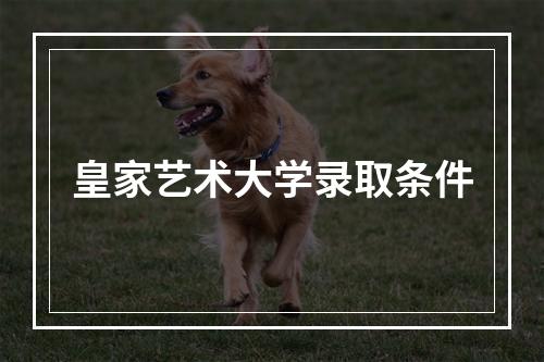 皇家艺术大学录取条件