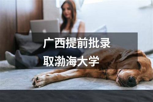 广西提前批录取渤海大学