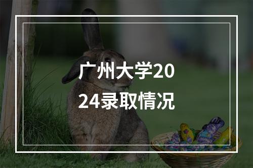 广州大学2024录取情况