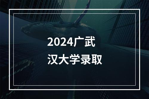 2024广武汉大学录取