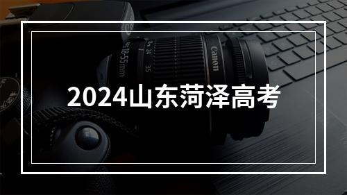 2024山东菏泽高考