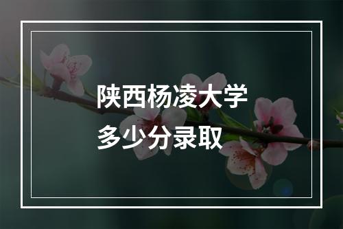 陕西杨凌大学多少分录取