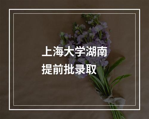 上海大学湖南提前批录取