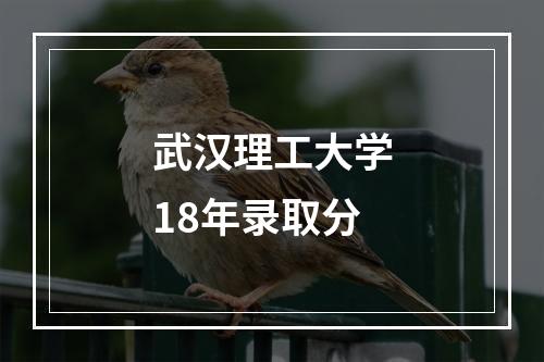 武汉理工大学18年录取分