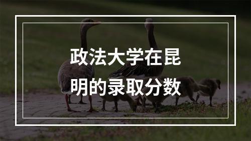 政法大学在昆明的录取分数