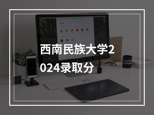 西南民族大学2024录取分