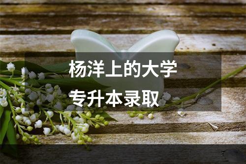 杨洋上的大学专升本录取