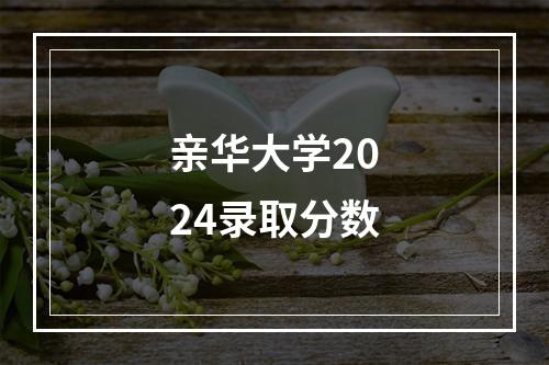 亲华大学2024录取分数