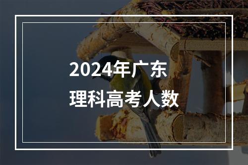 2024年广东理科高考人数