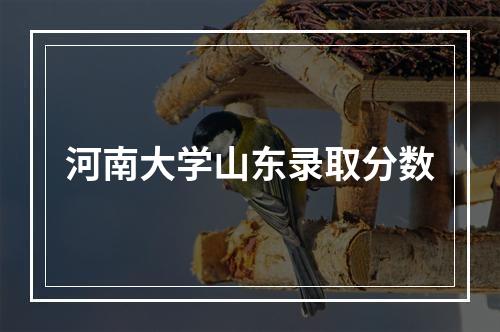 河南大学山东录取分数