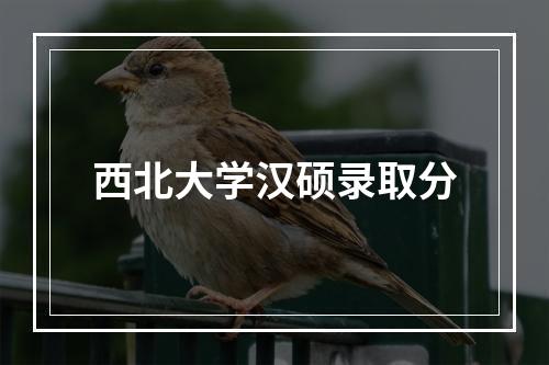 西北大学汉硕录取分